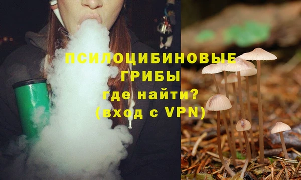 spice Аркадак